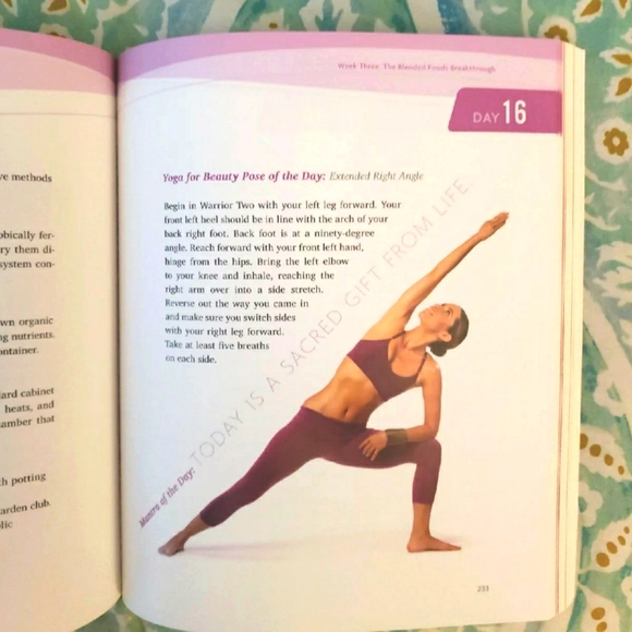 21 Day SuperStar Cleanse, big book, by Rainbeau Mars, Health, Diet, Renewal - Picture 6 of 10